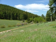 cabin_view