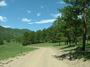 mellow_early_trail
