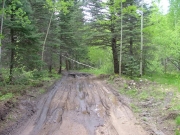 muddy_stretch