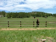stove_prairie_ranch_part_4