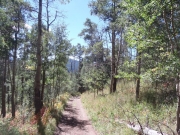 heading_downhill