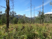 mountains