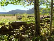 old_corral