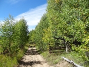 old_fence