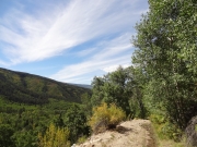 shelf_road