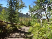 trail_block