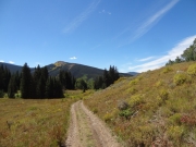 trail_with_a_view