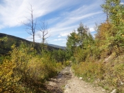 wet_trail