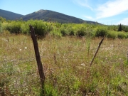 wire_fence