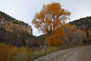 autumn