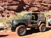 bob_on_the_trail