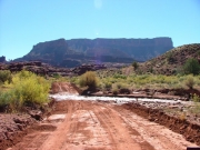 creek_crossing_2