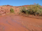 onion_creek