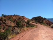 red_dirt