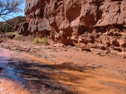 water_in_the_desert