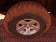 cinnamon_tire