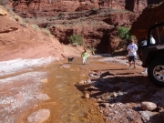 enjoying_the_creek