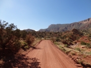mellow_trail