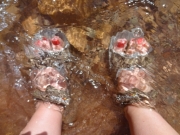 standing_in_the_creek