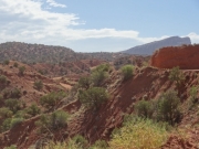 view_from_the_top