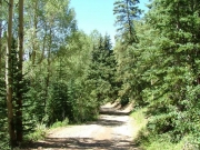 green_near_ophir