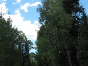 blue_sky