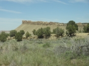 mesa
