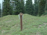 forest_service_sign_on_the_eastern_side