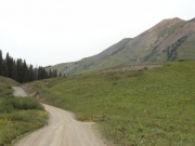 wavy_trail