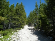 climbing