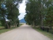 easy_road