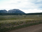 timberline