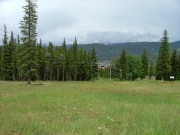 early_view
