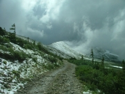 like_winter