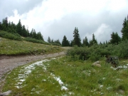 little_snow