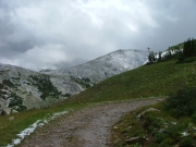 switchback