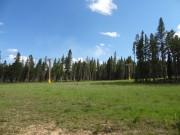 ski_lift_over_grass