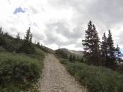 timberline
