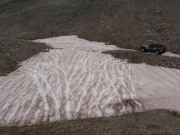 final_snow_bank_part_1