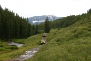 on_the_trail