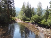 creek_crossing_1