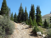 loose_climb