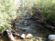 river_rocks