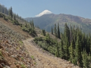 shelf_road