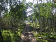two_track
