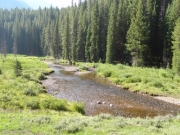 wider_creek