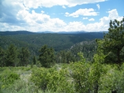 big_view