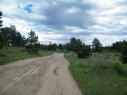 ruts_from_mud