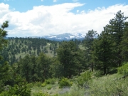 view_from_the_top