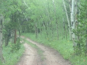trail_end